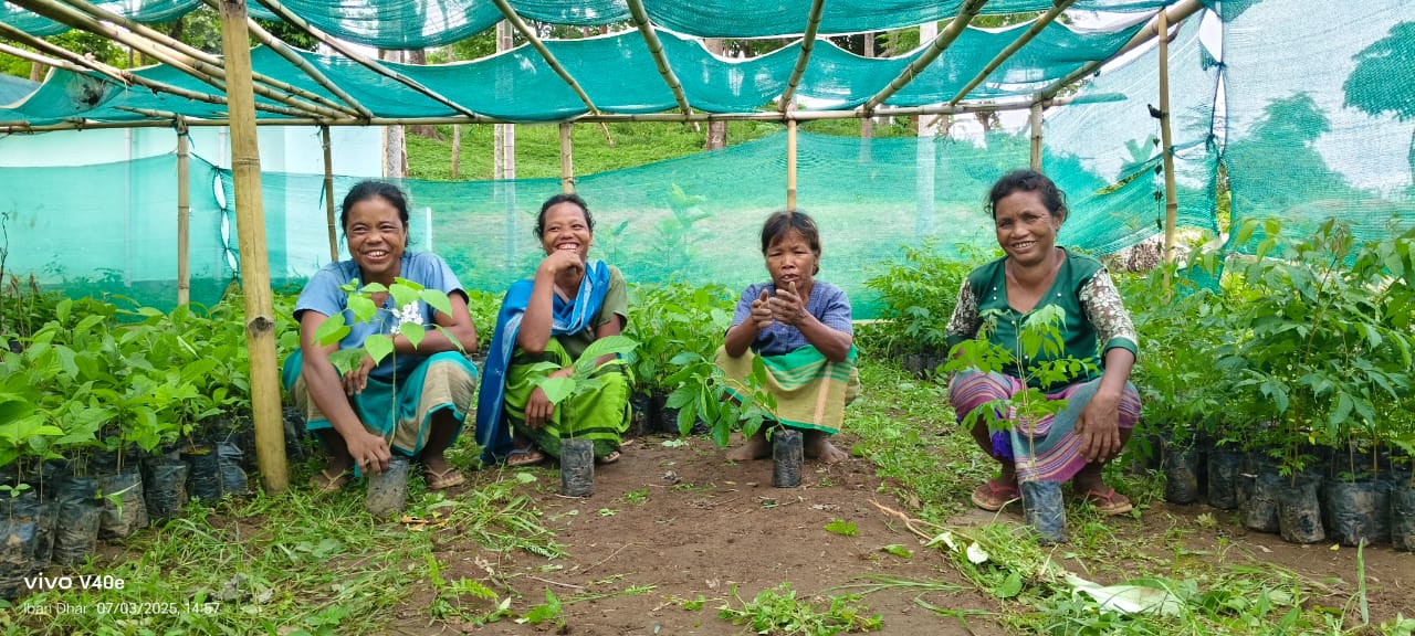Image1 for A Nursery of Dreams: The Women of Thaugittim